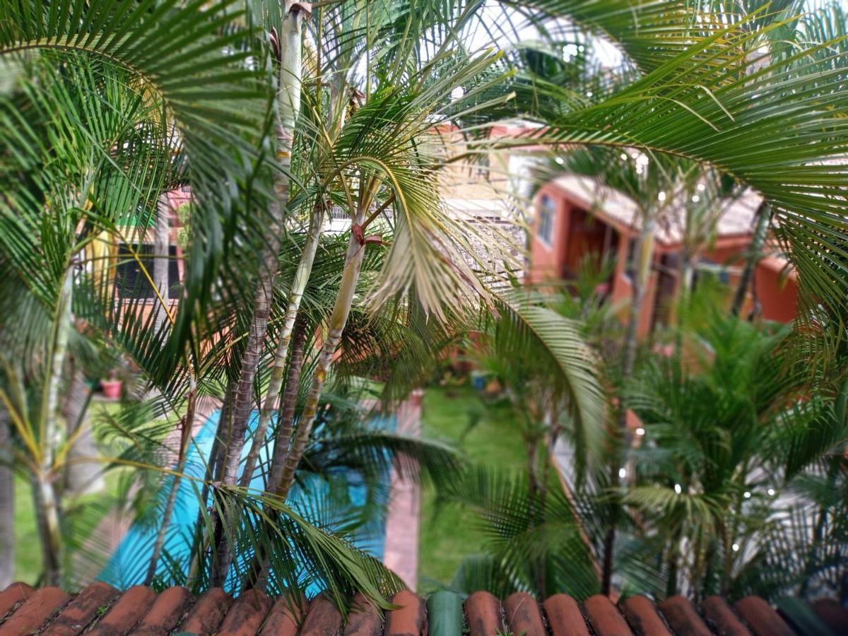 Posada Cocos كويرنافاكا المظهر الخارجي الصورة
